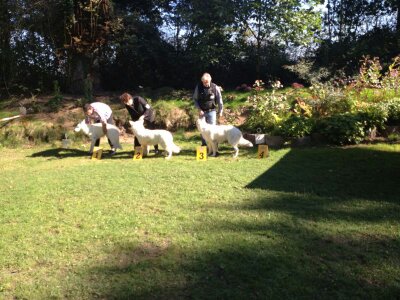 Enya bei der Siegerehrung